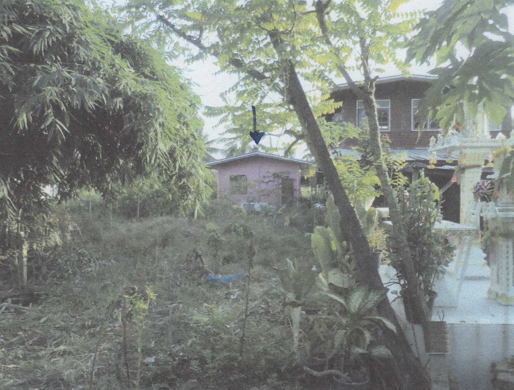 รูปที่ดินพร้อมสิ่งปลูกสร้าง คลองสาม คลองหลวง ปทุมธานี