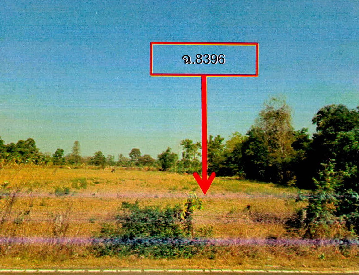 รูปที่ดินว่างเปล่า หนองใหญ่ ปราสาท สุรินทร์