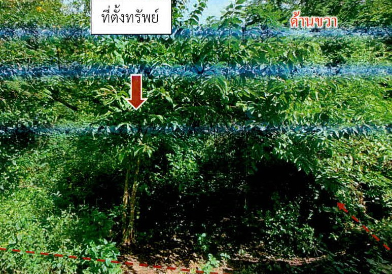 รูปที่ดินว่างเปล่า สลักได เมืองสุรินทร์ สุรินทร์