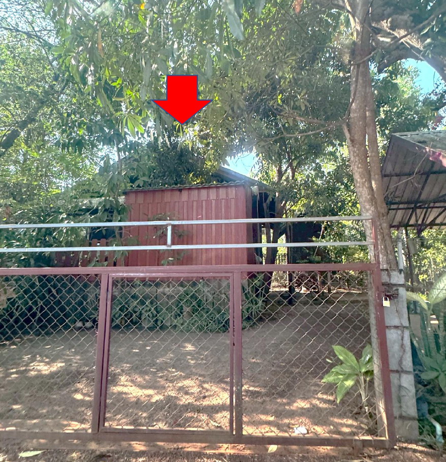 รูปที่ดินพร้อมสิ่งปลูกสร้าง บ้านแป้น กิ่งอำเภอโพนนาแก้ว สกลนคร