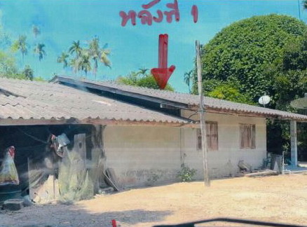 รูปที่ดินพร้อมสิ่งปลูกสร้าง ท่าขึ้น ท่าศาลา นครศรีธรรมราช