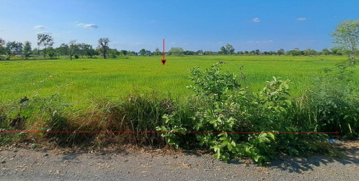 รูปที่ดินว่างเปล่า ลาดพัฒนา เมืองมหาสารคาม มหาสารคาม