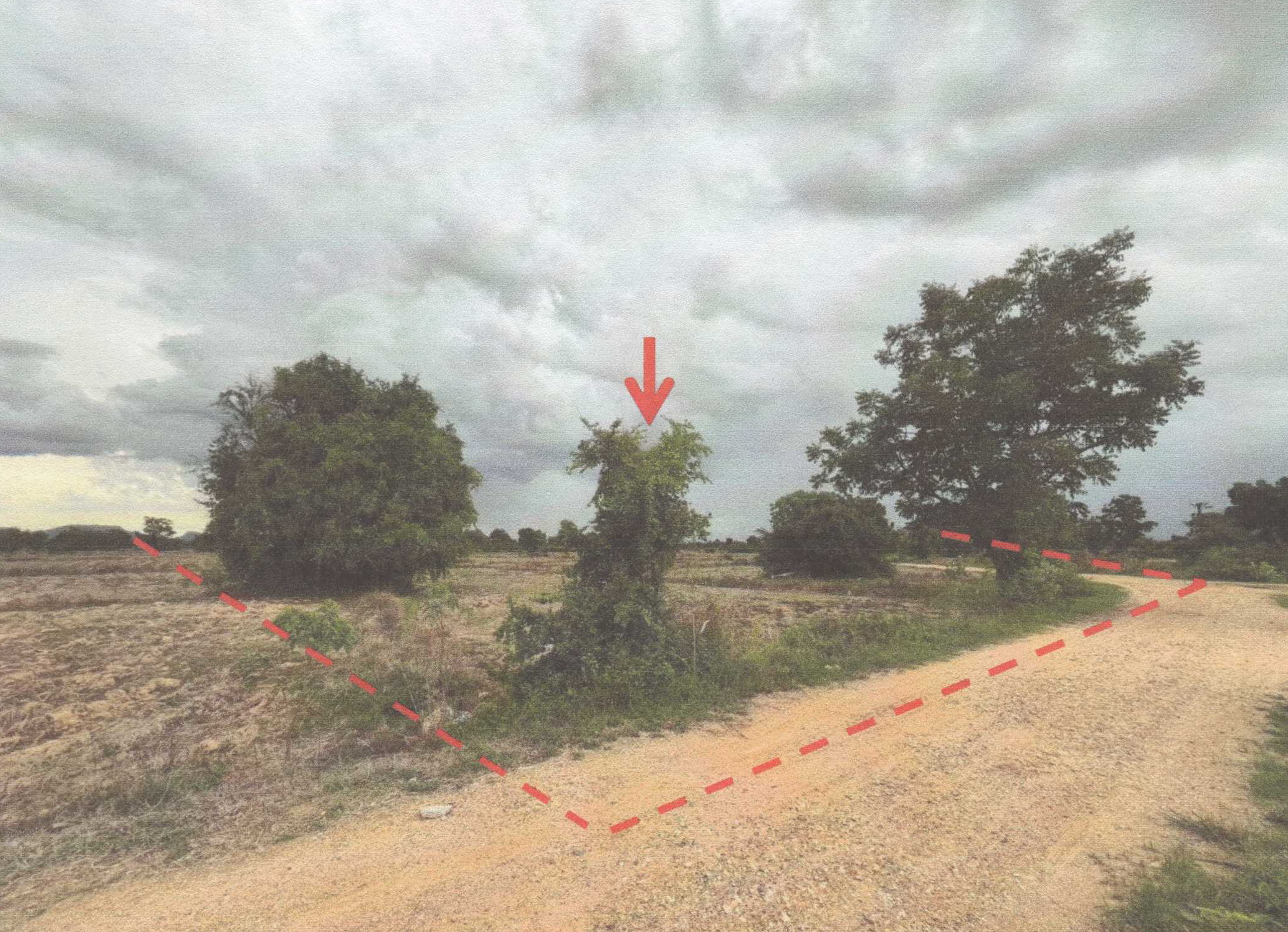 รูปที่ดินว่างเปล่า พยุหะ พยุหะคีรี นครสวรรค์