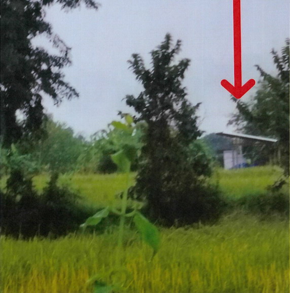 รูปที่ดินพร้อมสิ่งปลูกสร้าง เชียงยืน เชียงยืน มหาสารคาม