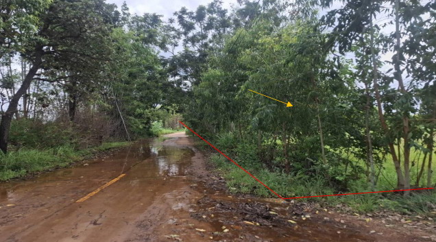 รูปที่ดินว่างเปล่า หนองผือ เขมราฐ อุบลราชธานี