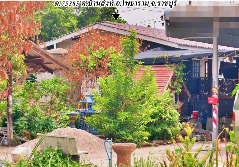 รูปที่ดินพร้อมสิ่งปลูกสร้าง บ้านสิงห์ โพธาราม ราชบุรี