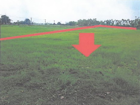 รูปที่ดินว่างเปล่า ดินดำ จังหาร ร้อยเอ็ด