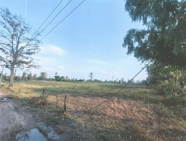 รูปที่ดินว่างเปล่า วังไชย บรบือ มหาสารคาม