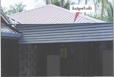 รูปที่ดินพร้อมสิ่งปลูกสร้าง ป่าซาง แม่จัน เชียงราย
