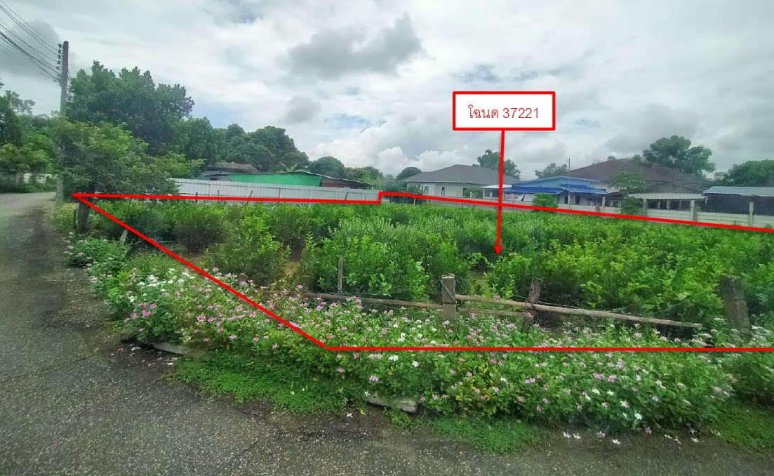 รูปที่ดินว่างเปล่า แม่แฝก สันทราย เชียงใหม่