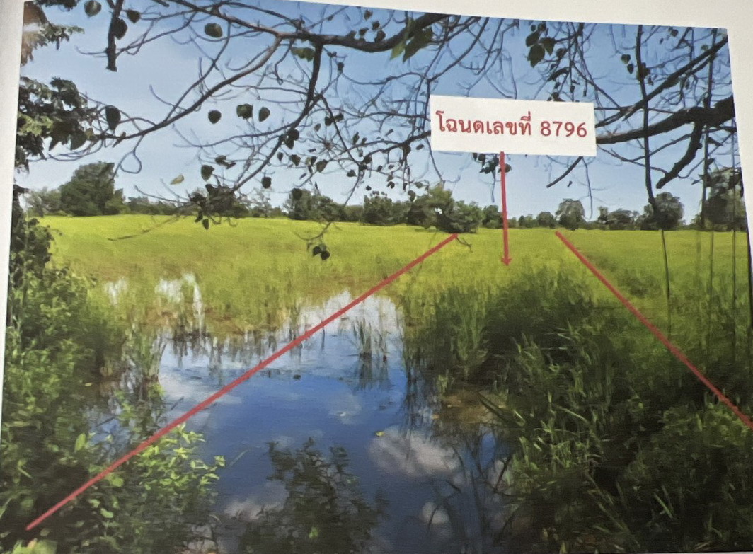 รูปที่ดินว่างเปล่า โคกพระ กันทรวิชัย มหาสารคาม