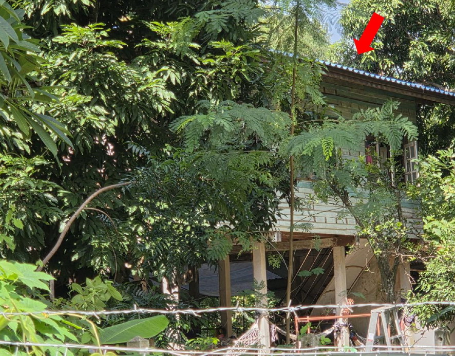 รูปที่ดินพร้อมสิ่งปลูกสร้าง แวงน่าง เมืองมหาสารคาม มหาสารคาม