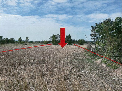 รูปที่ดินว่างเปล่า กุดสิมคุ้มใหม่ เขาวง กาฬสินธุ์