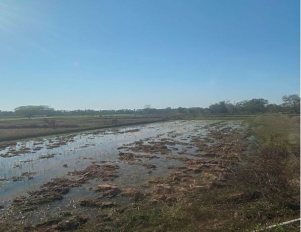 รูปที่ดินว่างเปล่า โพนทอง เรณูนคร นครพนม
