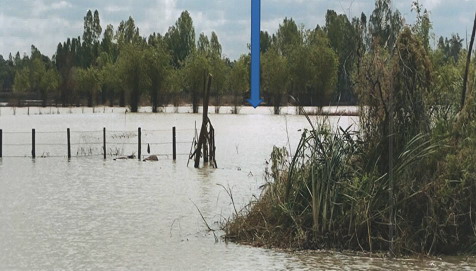 รูปที่ดินว่างเปล่า ท่าพระ เมืองขอนแก่น ขอนแก่น