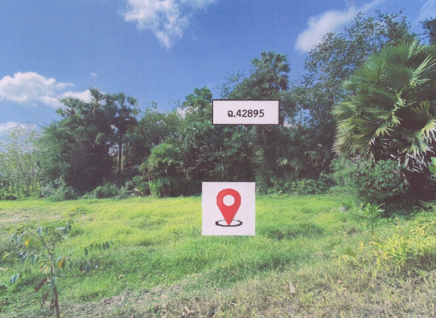 รูปที่ดินว่างเปล่า แม่ทอม บางกล่ำ สงขลา