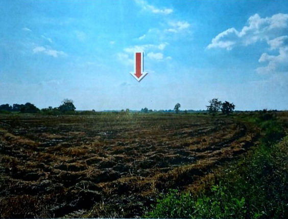 รูปที่ดินว่างเปล่า สมอแข เมืองพิษณุโลก พิษณุโลก