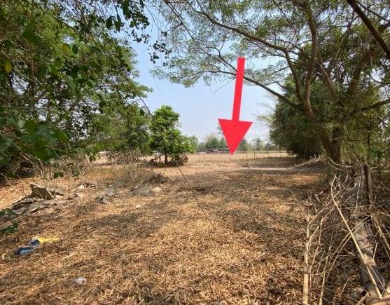 รูปที่ดินว่างเปล่า พังทุย น้ำพอง ขอนแก่น