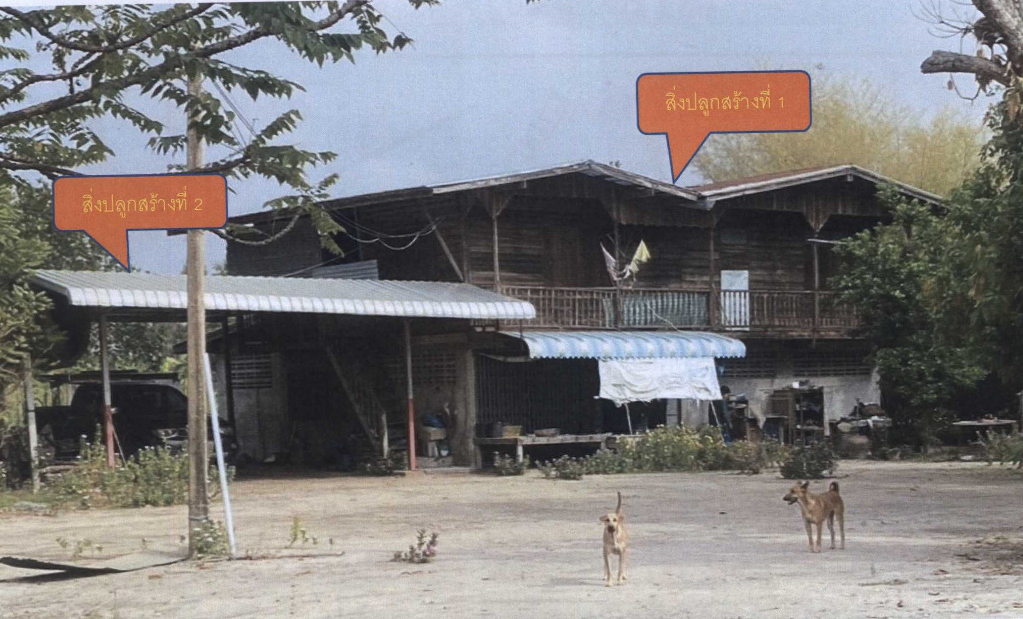 รูปที่ดินพร้อมสิ่งปลูกสร้าง ลาดยาว ลาดยาว นครสวรรค์