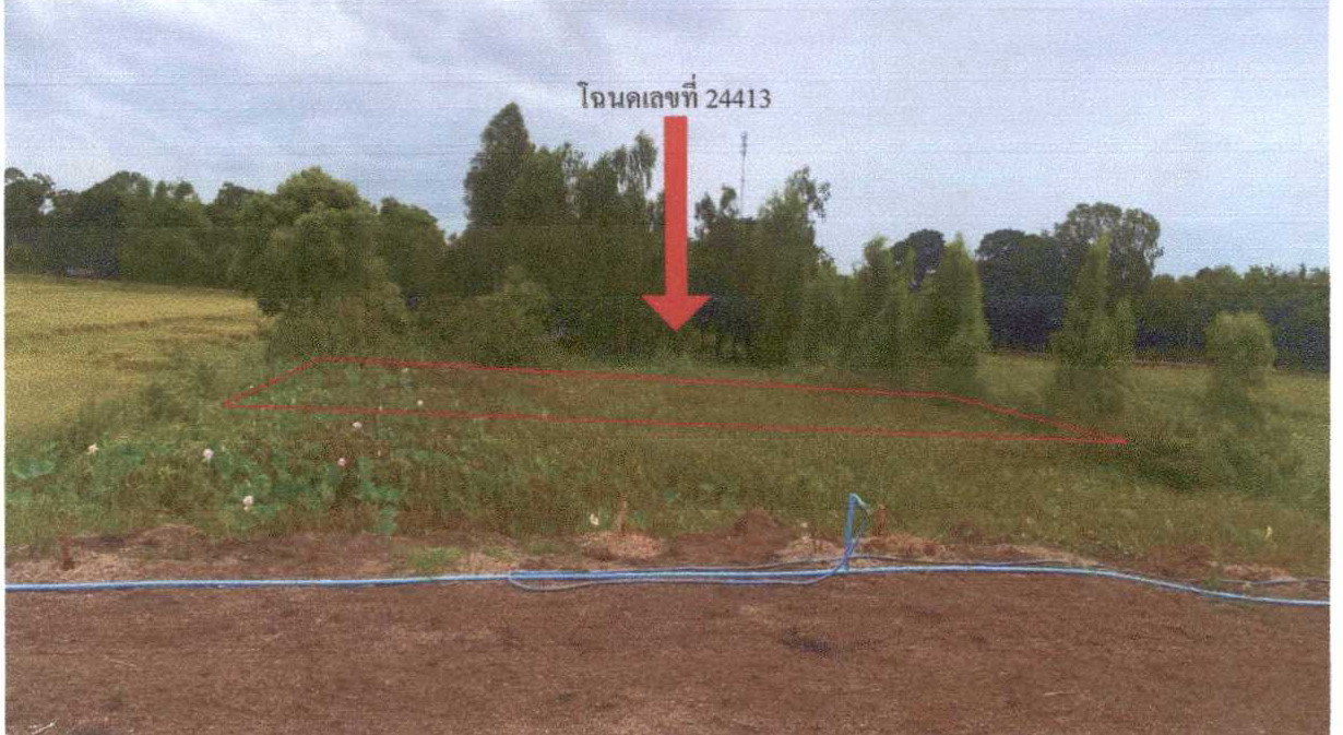 รูปที่ดินว่างเปล่า กุฎี ผักไห่ พระนครศรีอยุธยา