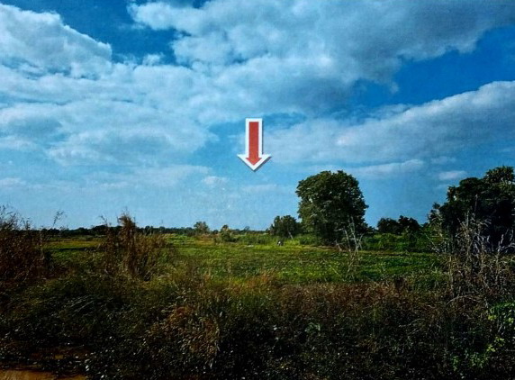 รูปที่ดินว่างเปล่า สมอแข เมืองพิษณุโลก พิษณุโลก