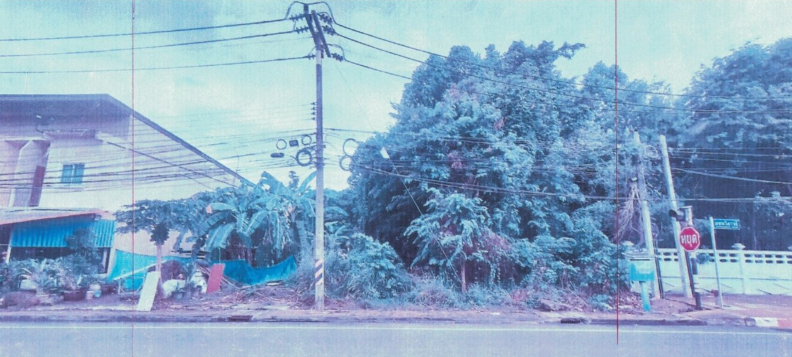 รูปที่ดินว่างเปล่า มะขามเตี้ย เมือง สุราษฎร์ธานี
