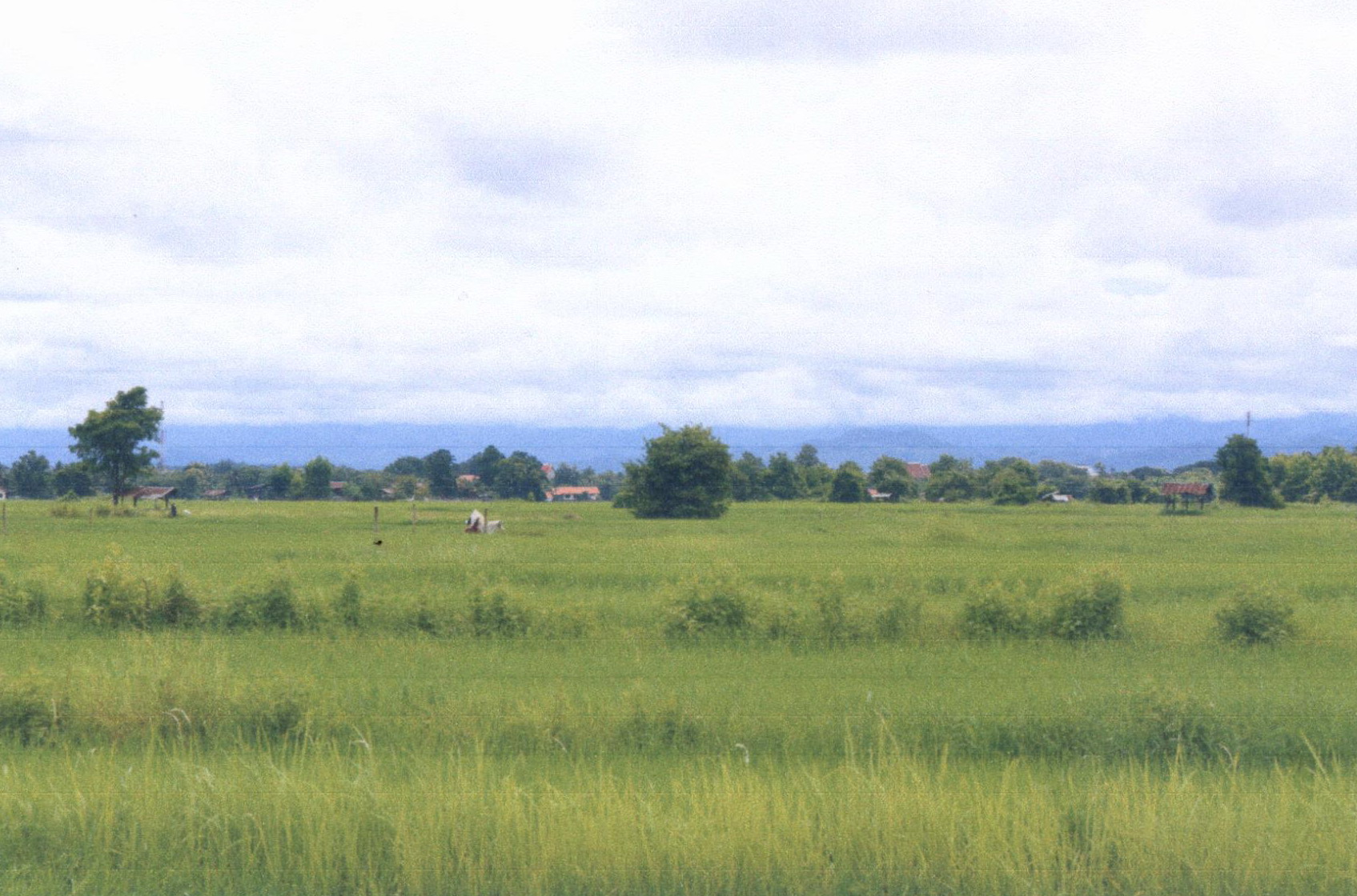 รูปที่ดินว่างเปล่า ทุ่งกวาว เมืองแพร่ แพร่