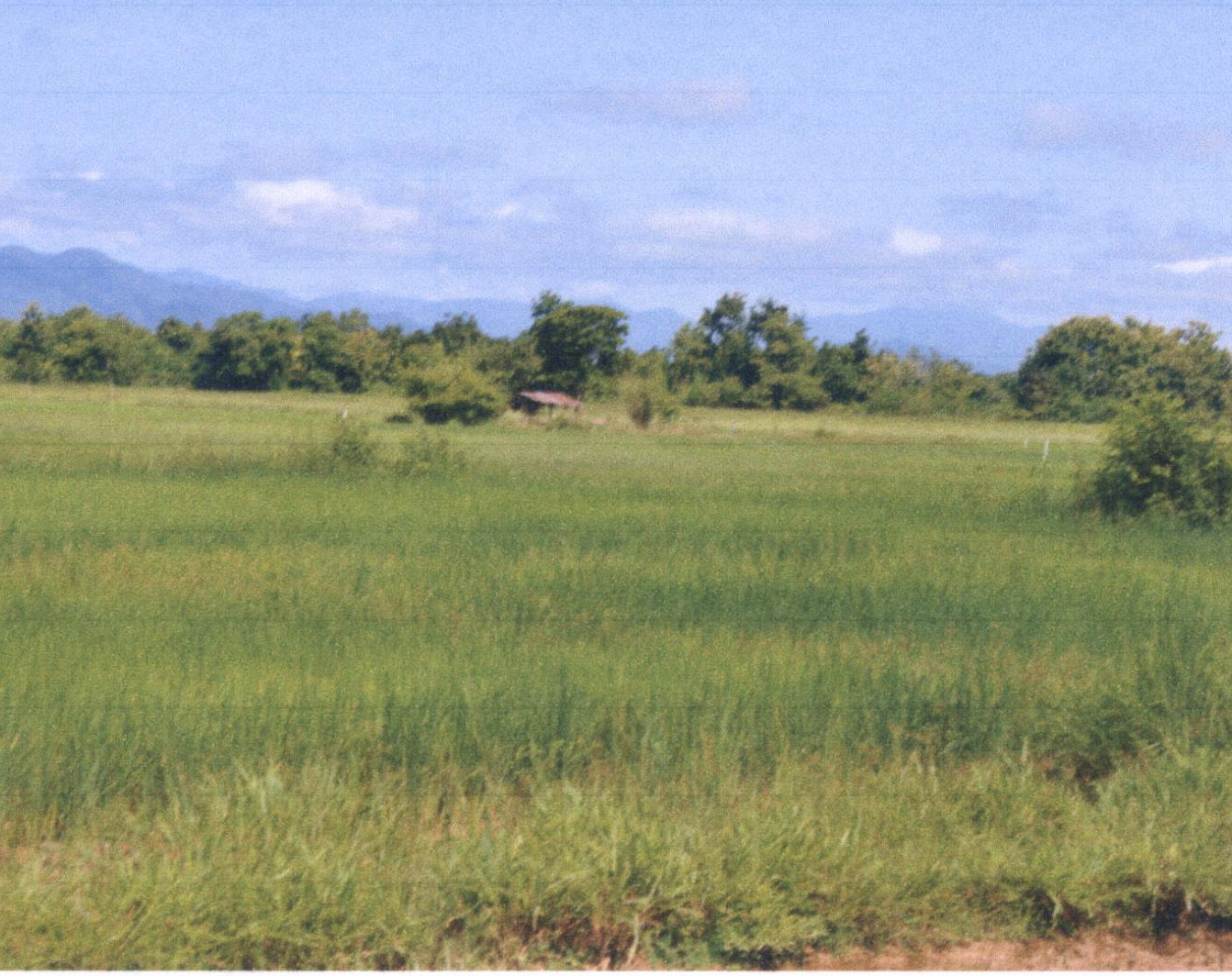 รูปที่ดินว่างเปล่า เหมืองหม้อ เมืองแพร่ แพร่