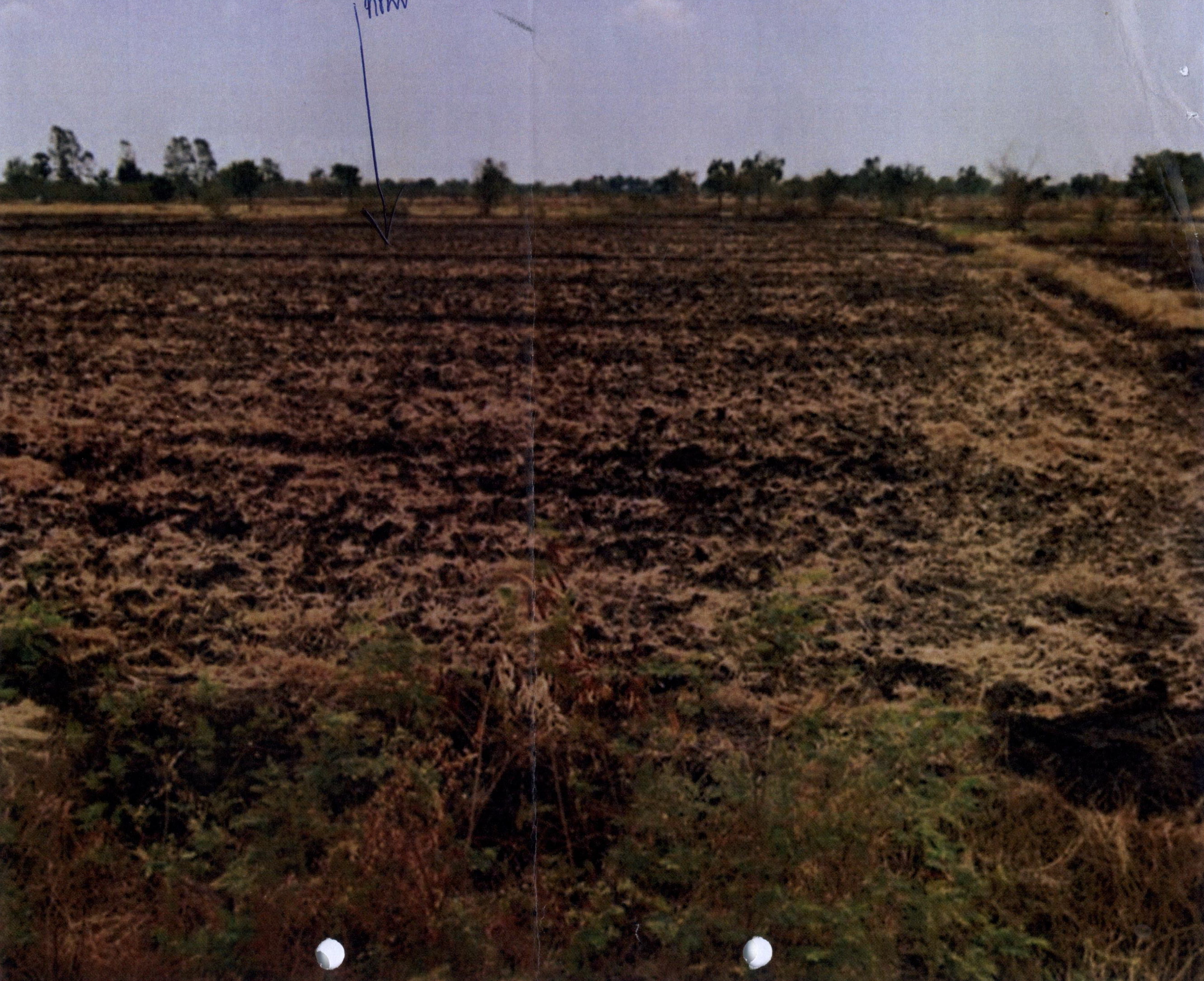 รูปที่ดินว่างเปล่า หนองกระทุ่ม ทัพทัน อุทัยธานี