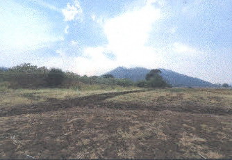 รูปที่ดินว่างเปล่า ช่องสาริกา พัฒนานิคม ลพบุรี