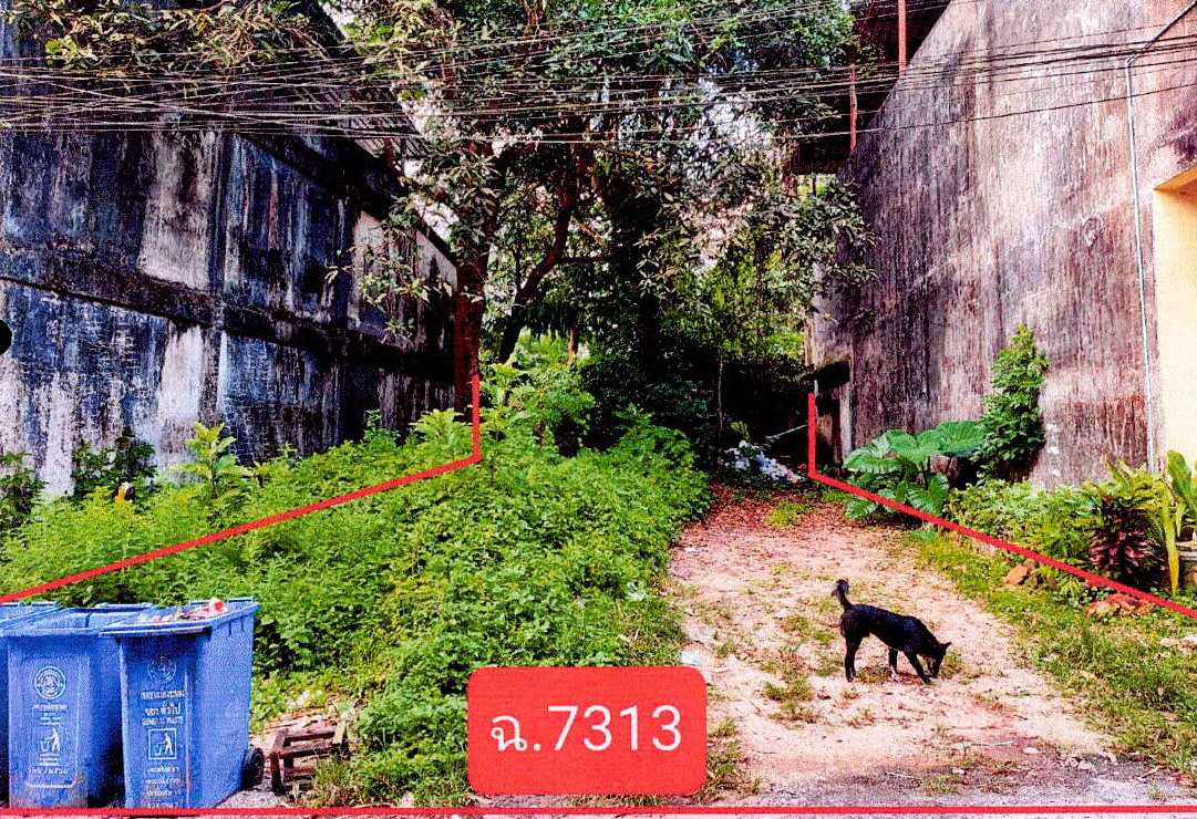 รูปที่ดินว่างเปล่า เขานิเวศน์ เมือง ระนอง