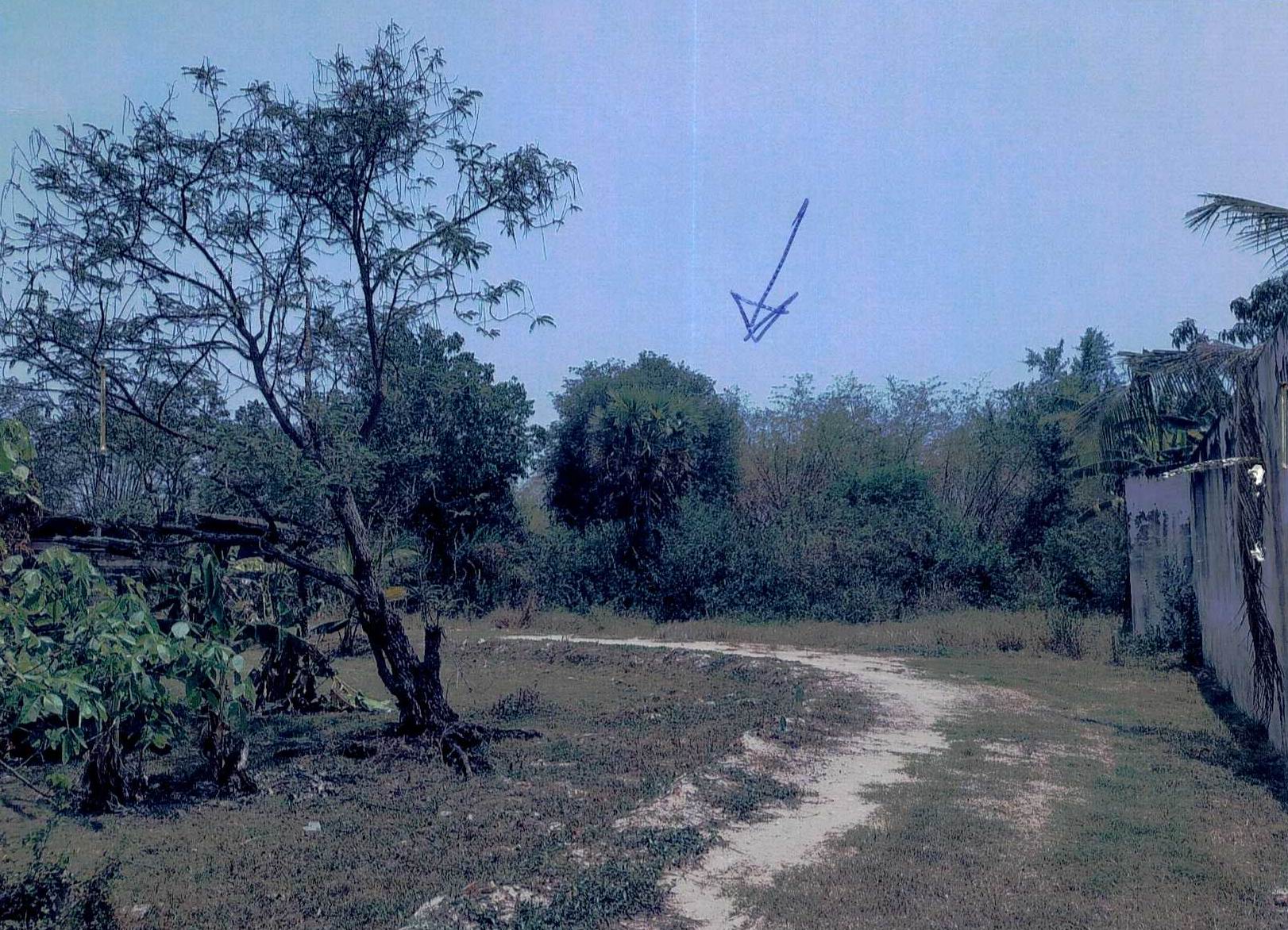รูปที่ดินว่างเปล่า หนองหงษ์ พานทอง ชลบุรี