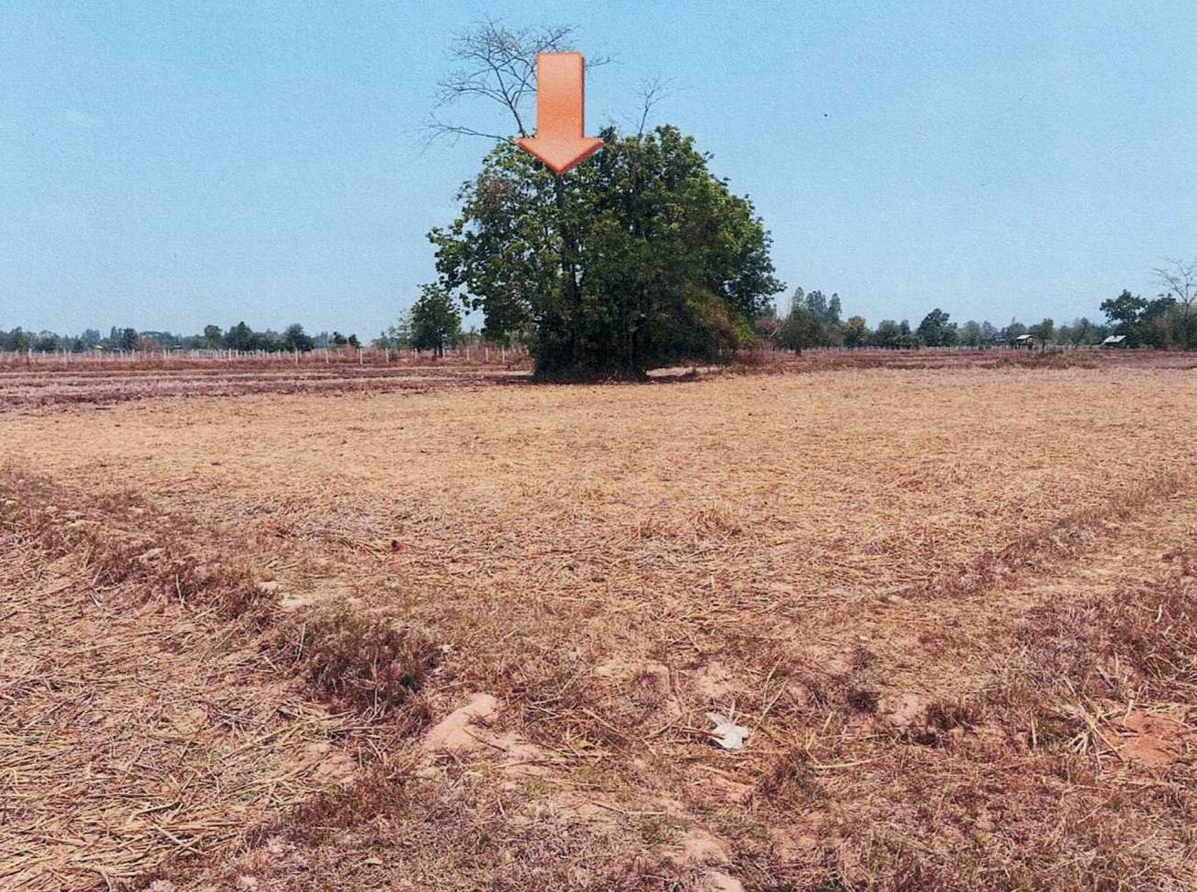 รูปที่ดินว่างเปล่า โพธิ์ชัย เมืองหนองบัวลำภู หนองบัวลำภู