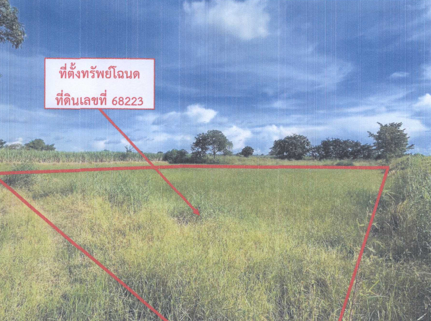 รูปที่ดินว่างเปล่า หินดาด ด่านขุนทด นครราชสีมา