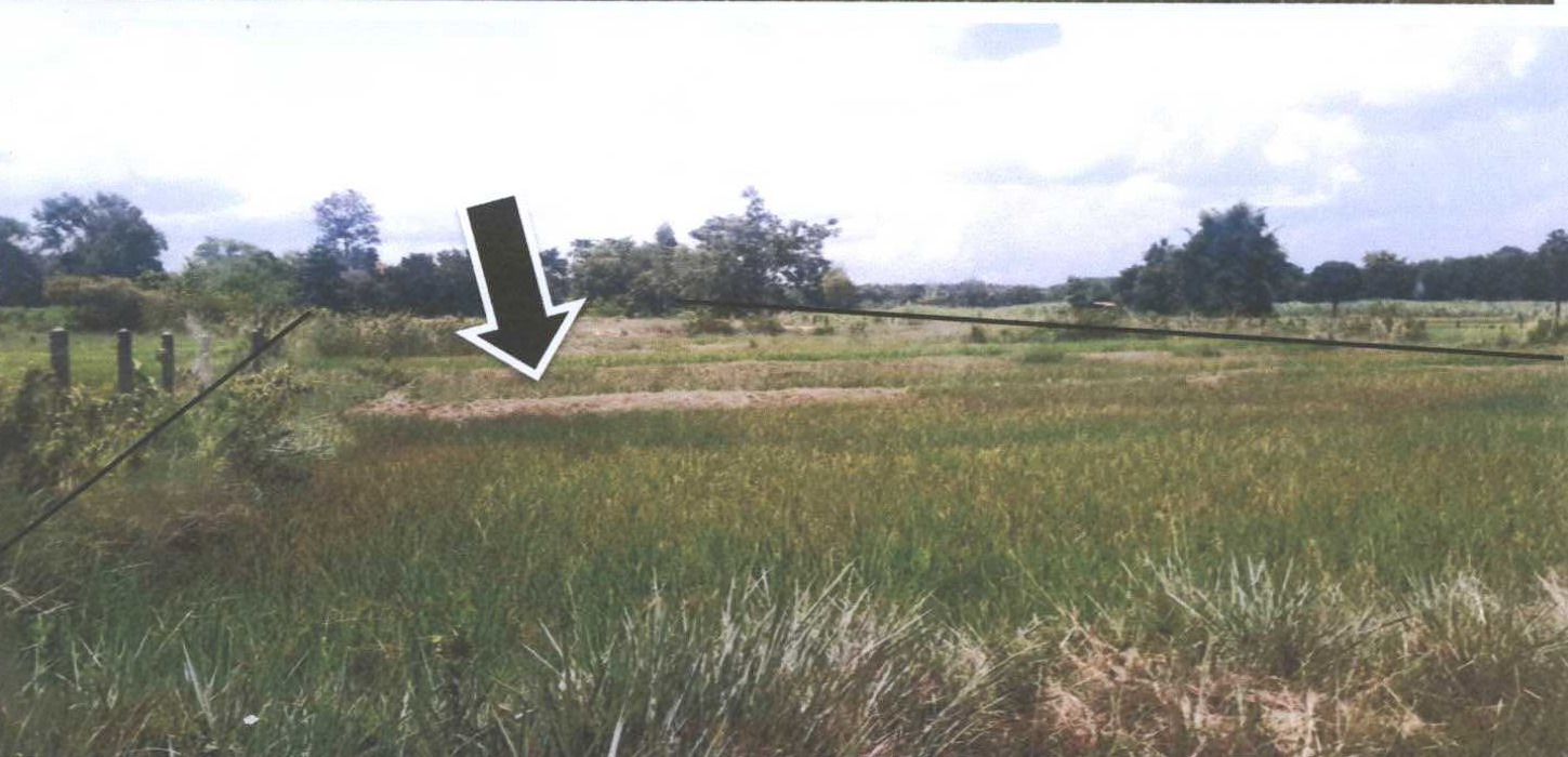 รูปที่ดินว่างเปล่า คำป่าหลาย เมืองมุกดาหาร มุกดาหาร