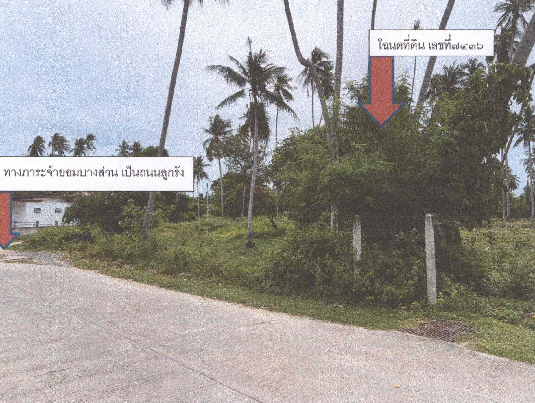 รูปที่ดินว่างเปล่า มะเร็ต เกาะสมุย สุราษฎร์ธานี