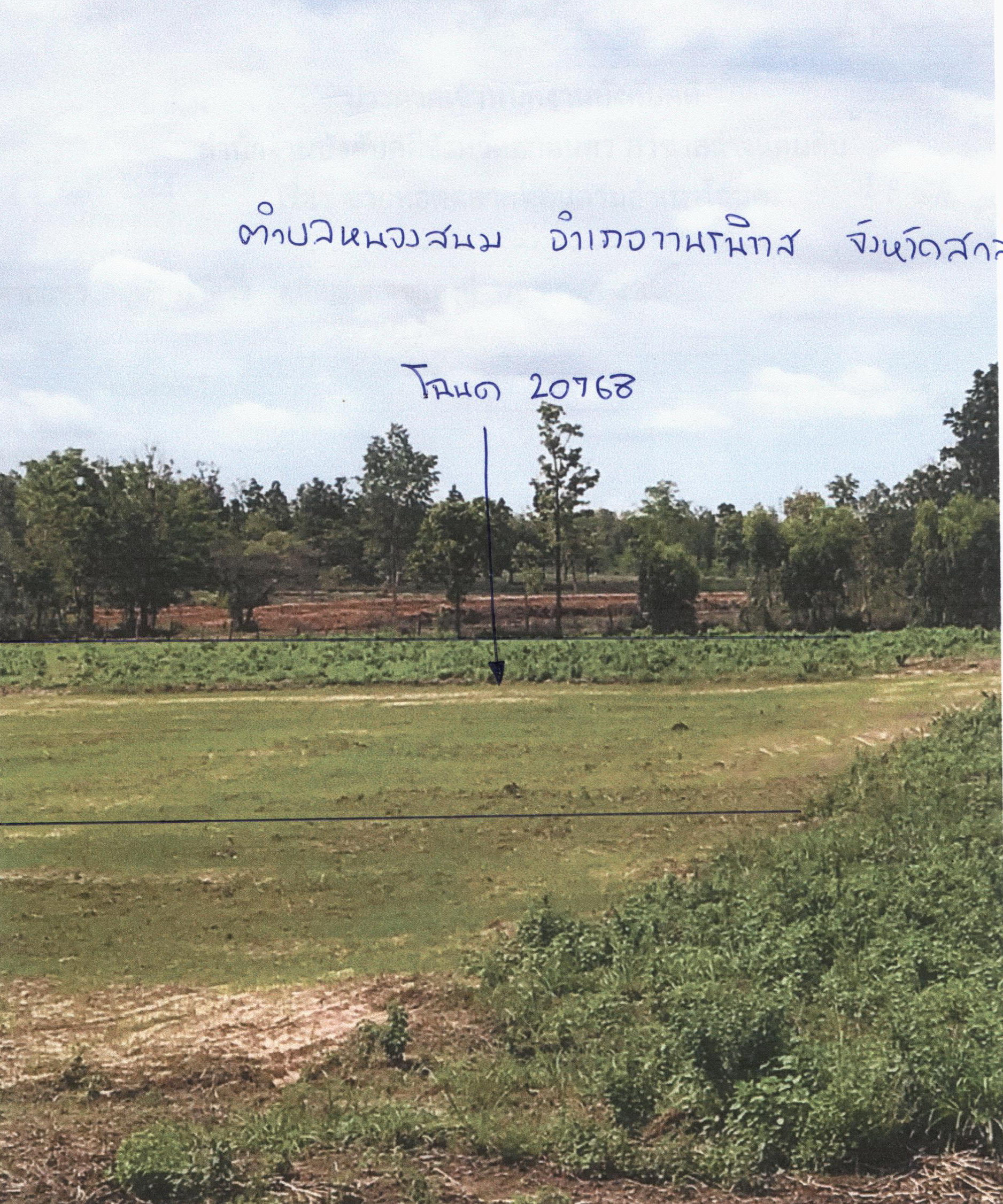 รูปที่ดินว่างเปล่า หนองสนม วานรนิวาส สกลนคร