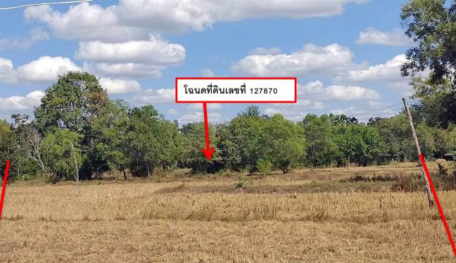 รูปที่ดินว่างเปล่า กระโสบ เมืองอุบลราชธานี อุบลราชธานี