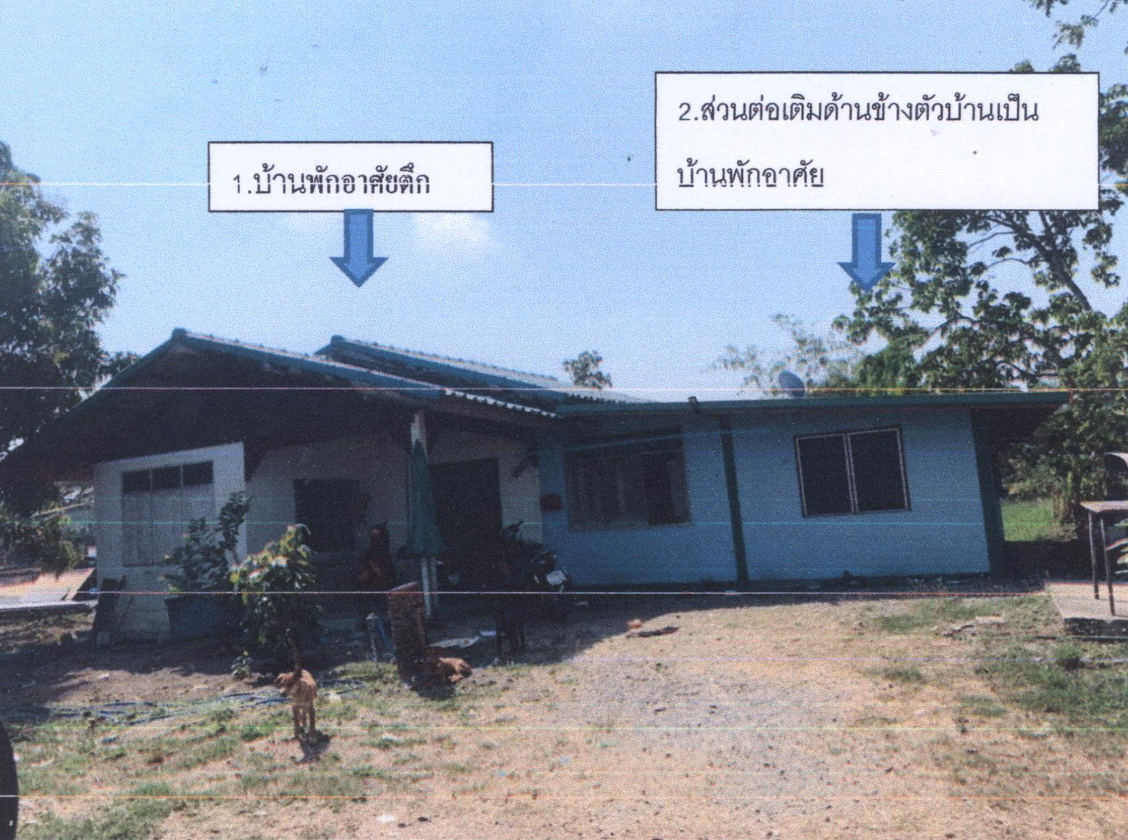 รูปที่ดินพร้อมสิ่งปลูกสร้าง โคกม่วง ภาชี พระนครศรีอยุธยา