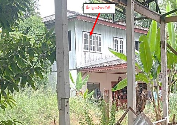 รูปที่ดินพร้อมสิ่งปลูกสร้าง ในเมือง เมืองเพชรบูรณ์ เพชรบูรณ์