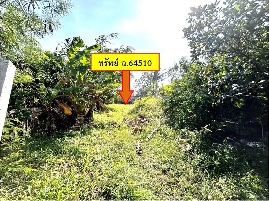 รูปที่ดินว่างเปล่า สร้างนกทา เมืองอำนาจเจริญ อำนาจเจริญ