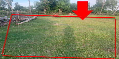 รูปที่ดินว่างเปล่า บ้านด่าน บ้านด่าน บุรีรัมย์