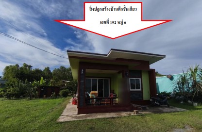 รูปที่ดินพร้อมสิ่งปลูกสร้าง แม่ระกา วังทอง พิษณุโลก