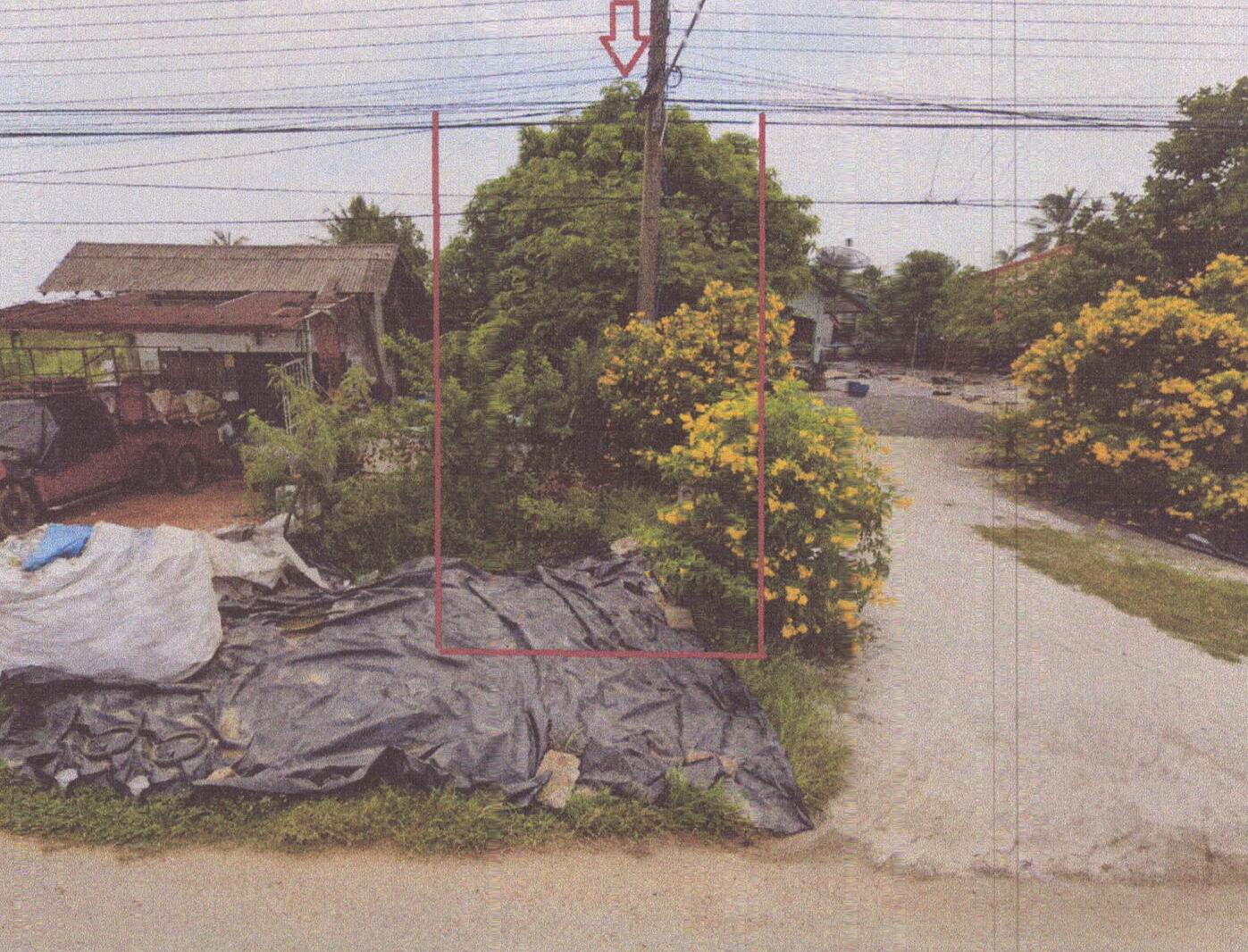 รูปที่ดินว่างเปล่า ท่าบอน ระโนด สงขลา