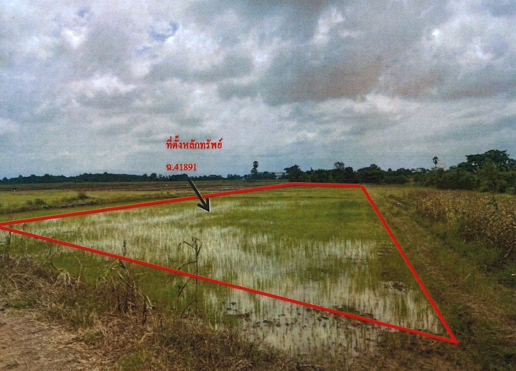 รูปที่ดินว่างเปล่า นาเฉลียง หนองไผ่ เพชรบูรณ์