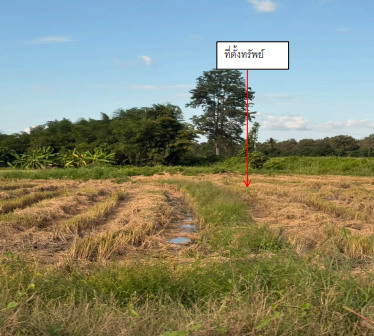 รูปที่ดินว่างเปล่า หงาว เทิง เชียงราย