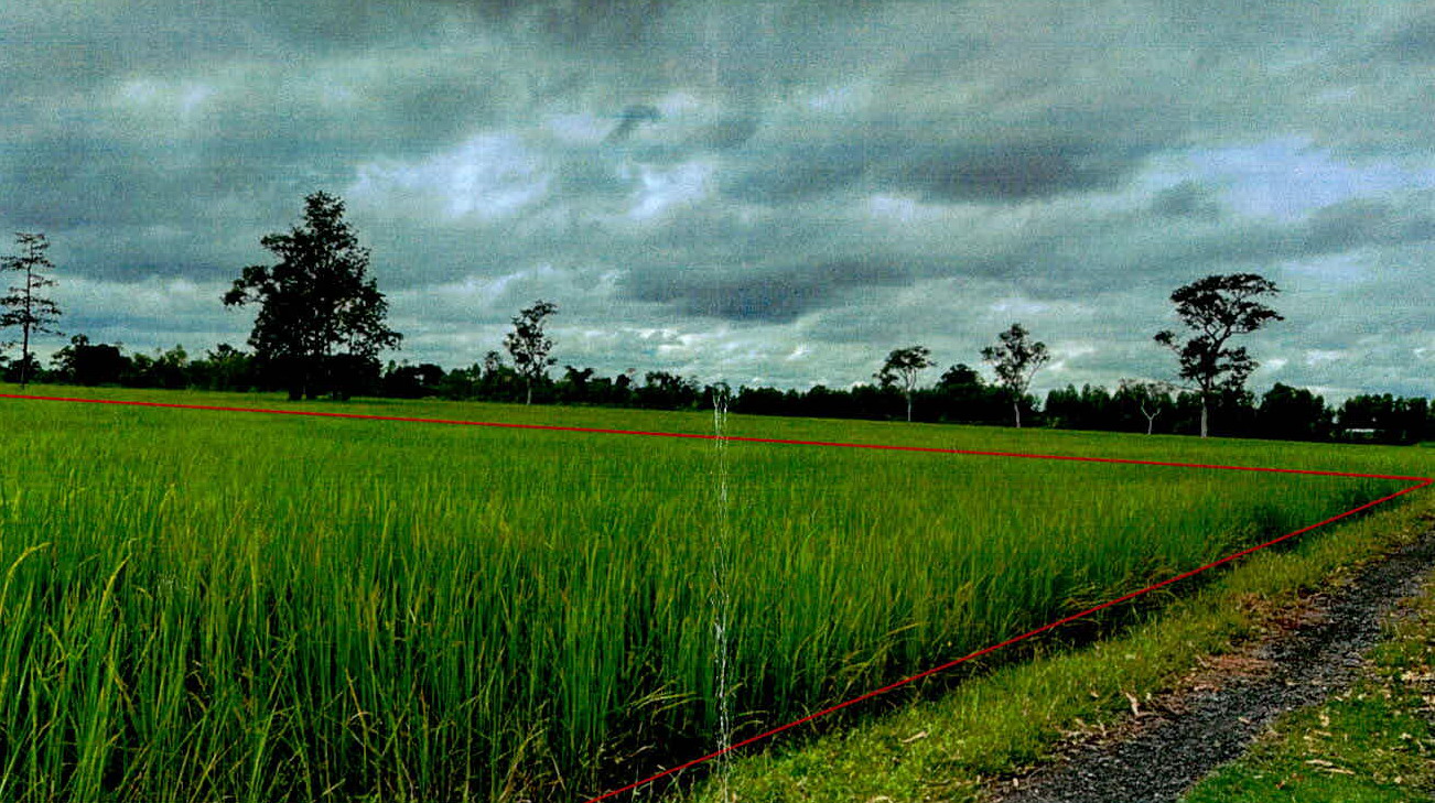 รูปที่ดินว่างเปล่า ตระเปียงเตีย ลำดวน สุรินทร์