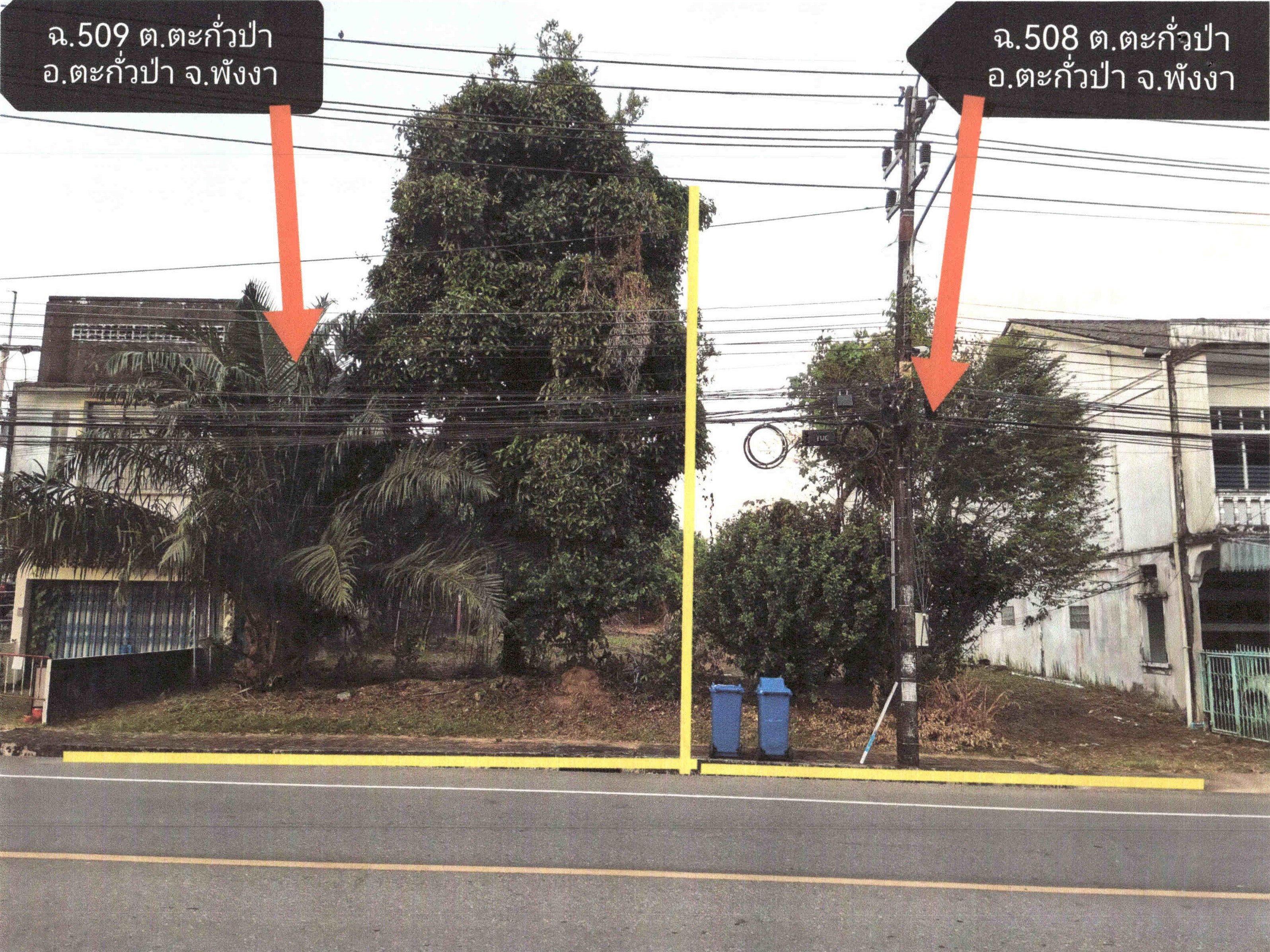 รูปที่ดินว่างเปล่า ตะกั่วป่า ตะกั่วป่า พังงา