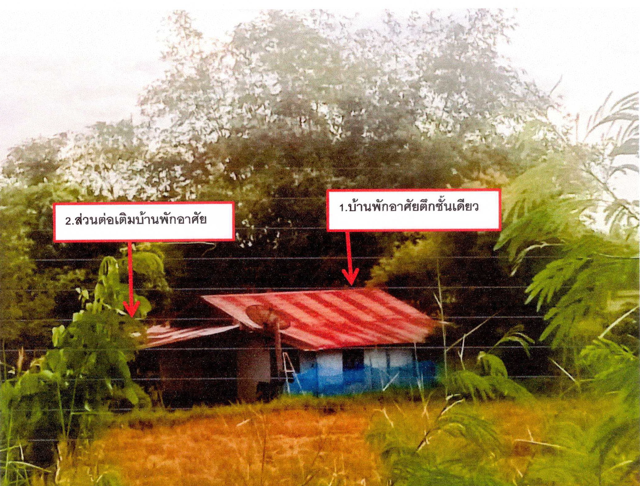 รูปที่ดินพร้อมสิ่งปลูกสร้าง หนองนาง ท่าบ่อ หนองคาย
