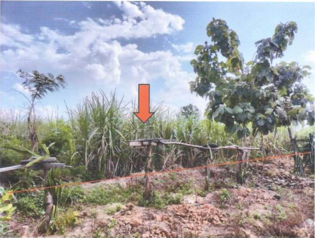 รูปที่ดินว่างเปล่า กวางโจน ภูเขียว ชัยภูมิ